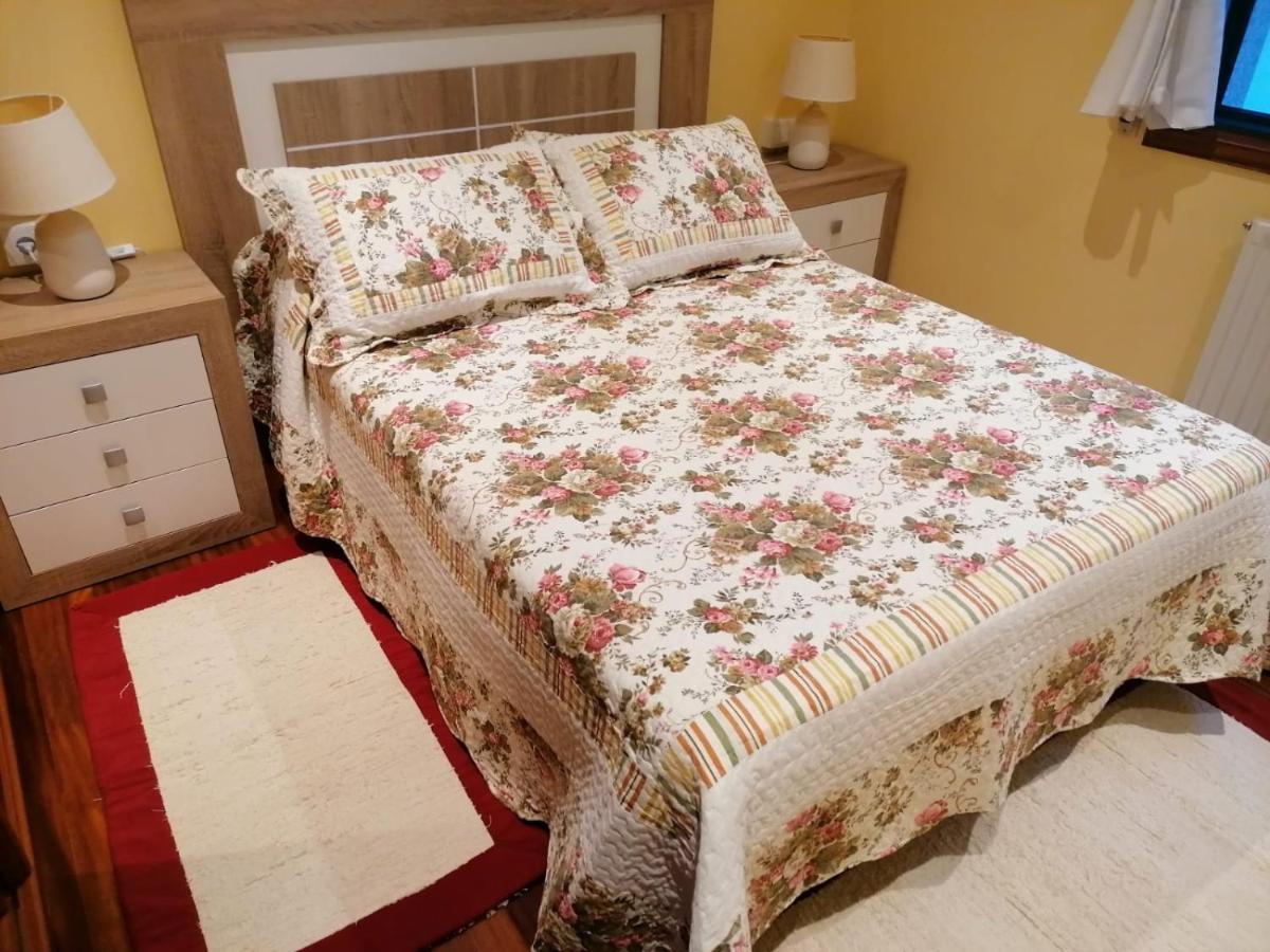 Piso As Camelias Apartment Понтеведра Екстериор снимка