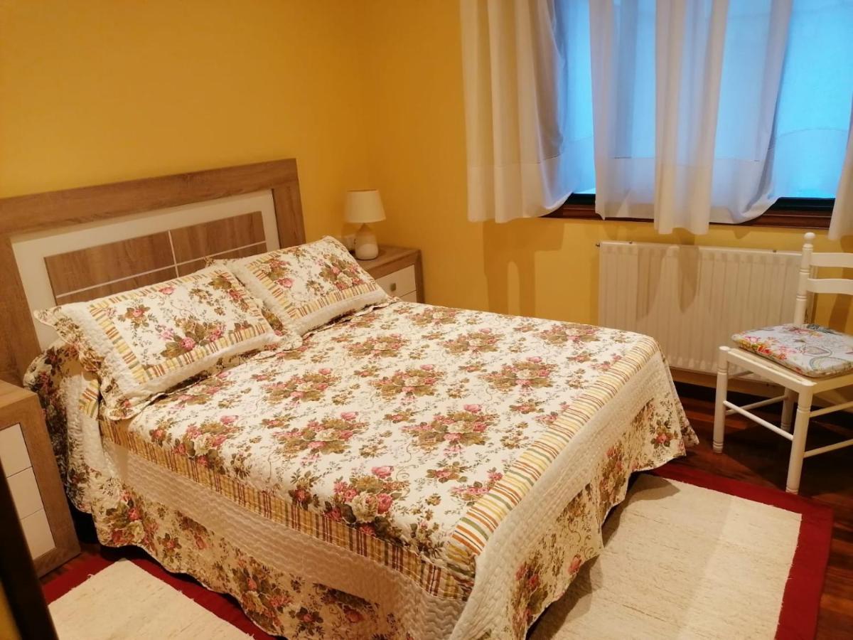 Piso As Camelias Apartment Понтеведра Екстериор снимка